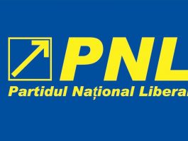 Deputat liberal: PNL ar trebui să se ferească ca dracu de tămâie de alegerile anticipate