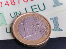 Purtător de cuvând al BNR, după creșterea euro: Situația se va mai calma