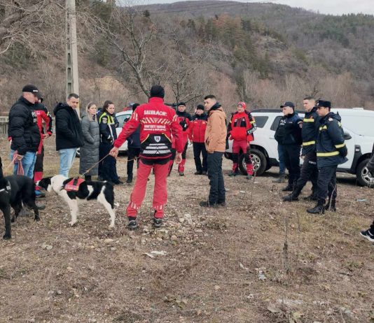 Gorj: Alarmare! Femeie de 93 de ani dată dispărută. A plecat marți de acasă și nu a mai revenit