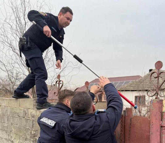 Un oltean s-a închis în casă de frica propriului câine. L-au scos jandarmii