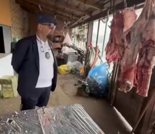 Piedone, control la o stână. Oierul a fost amendat și dat pe mâna polițiștilor pentru vânzare ilegală de miei și brânză