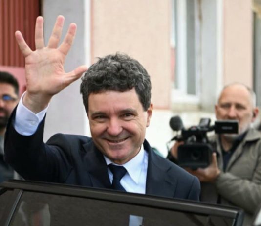 Rezultate: Nicușor Dan a câștigat alegerile prezidențiale