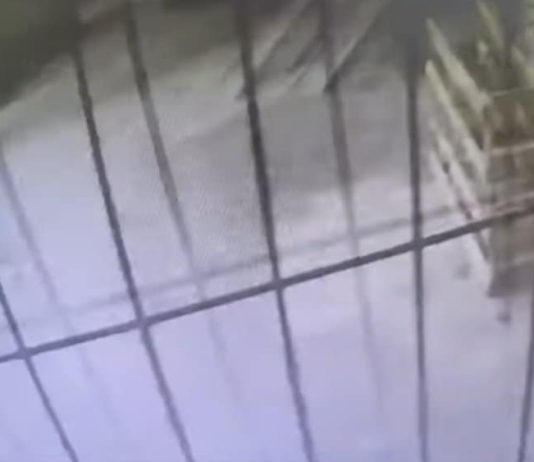 Dolj: A tras cu pistolul în direcția polițiștilor. Agenții s-au mobilizat și l-au luat pe sus