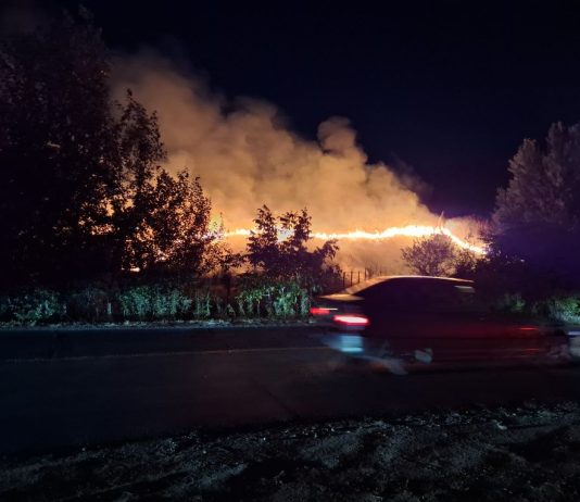 Târgu Jiu: Incendiu la vegetație uscată