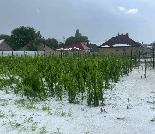 Galerie foto! Val de grindină peste o localitate din România. Stratul a ajuns până la 15 centimetri