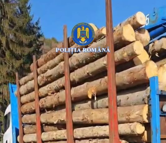 Gorj: Material lemnos transportat ilegal. Două cazuri într-o singură zi