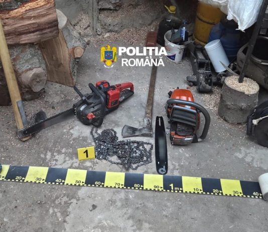 Gorj: Au furat zeci de metri cubi de material lemnos