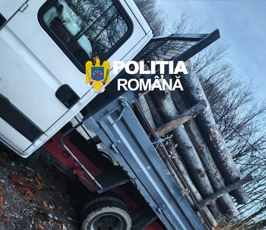 Gorj: Material lemnos confiscat