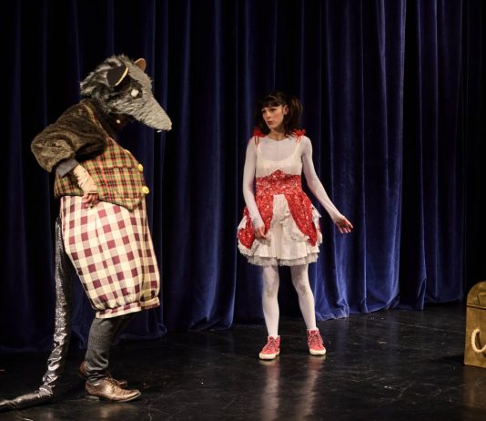 Teatrul ”Elvira Godeanu”: Poftiți la premieră! Duminică, o poveste pentru întreaga familie