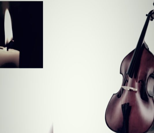 Târgu Jiu: Surse! Tânăr muzician, profesor de violoncel, mort în urma unui accident stupid