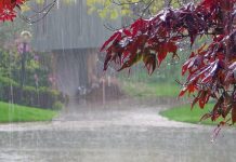 Meteo: Oltenia, ”binișor” la capitolul ploi. Vremea se încălzește săptămâna viitoare