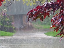 Meteo: Oltenia, ”binișor” la capitolul ploi. Vremea se încălzește săptămâna viitoare