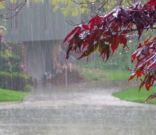 Avertizare meteo: Ploi și furtuni în Oltenia