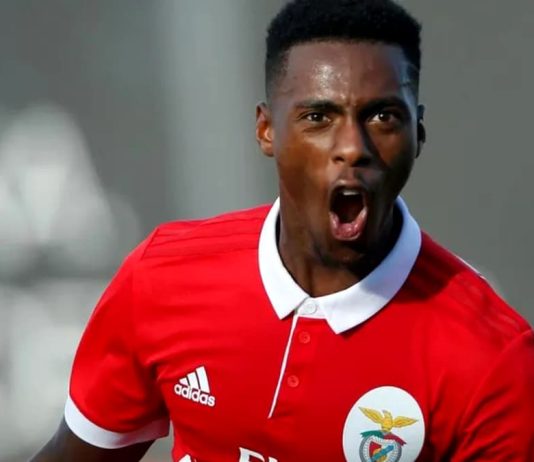 Anunțat în Bănie! Jucător trecut pe la Benfica și Sporting așteptat la Craiova