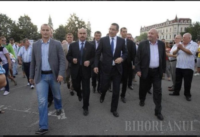 bolo 6