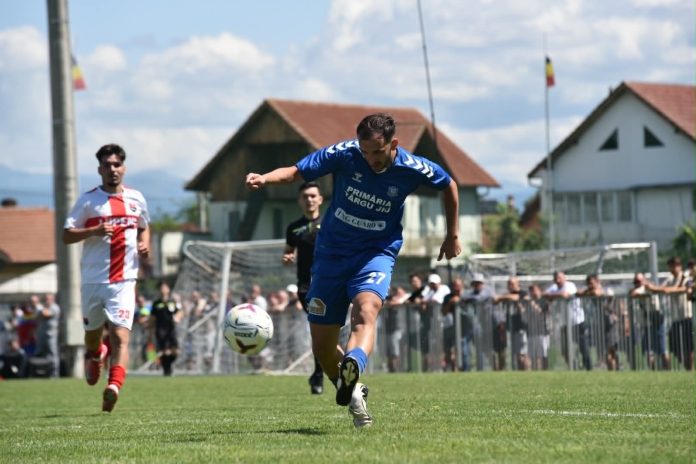 dodoi