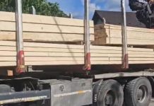 Gorj: Dulapi de molid confiscați în urma unui control în trafic