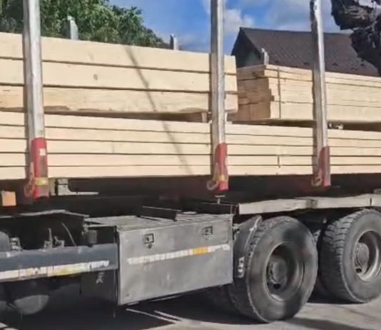 Gorj: Dulapi de molid confiscați în urma unui control în trafic