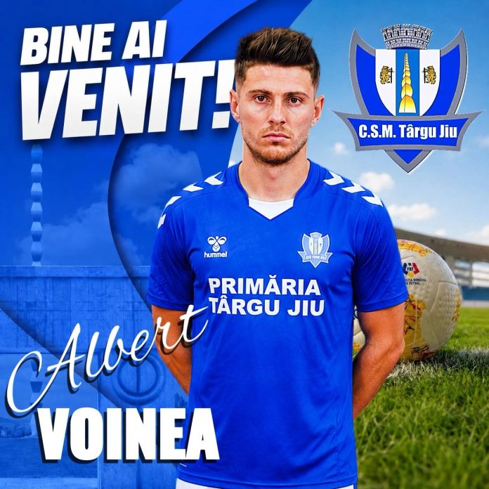 voinea albert