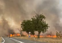 Gorj: Incendiu de proporții! Circulația rutieră oprită pe DN67 Târgu Jiu – Horezu