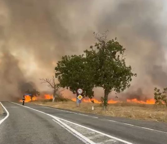 Gorj: Incendiu de proporții! Circulația rutieră oprită pe DN67 Târgu Jiu – Horezu