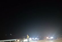 Târgu Jiu: Cinci permise de conducere reținute în doar patru ore