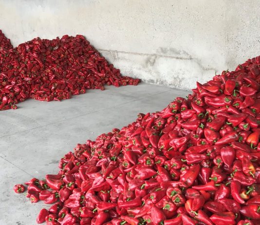 Controale la mari depozite: Legume ”de peste mări și țări” vândute ca românești