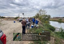 Apele Române, verificări la Târgu Jiu: Amendă severă pentru ApaRegio. Luciul de apă din zona Insuliță trebuie curățat