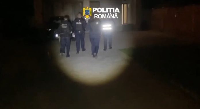 perchezitii artisti.